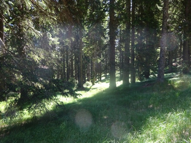Lovrenška jezera za oš (18.6.2022) - foto