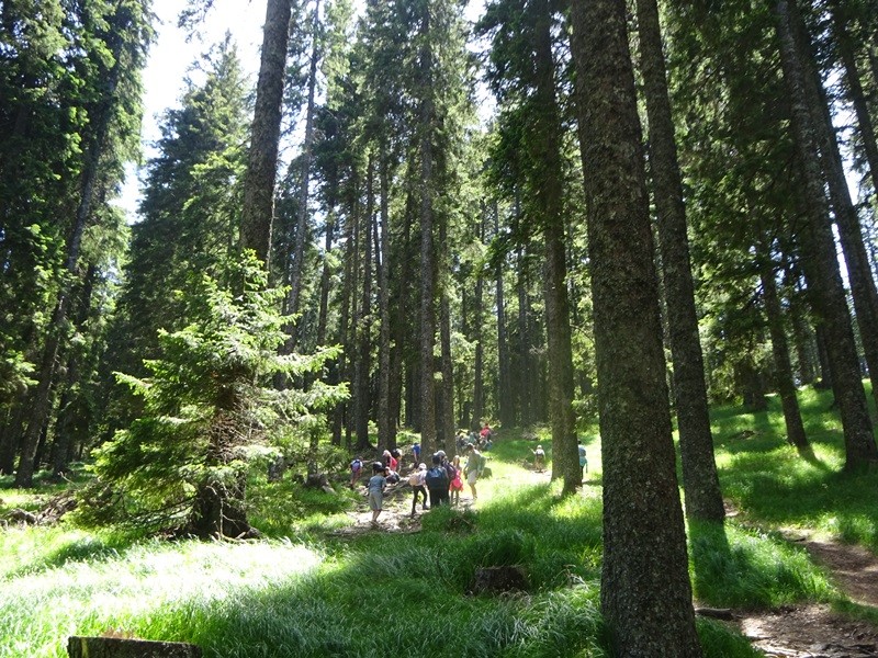 Lovrenška jezera za oš (18.6.2022) - foto povečava