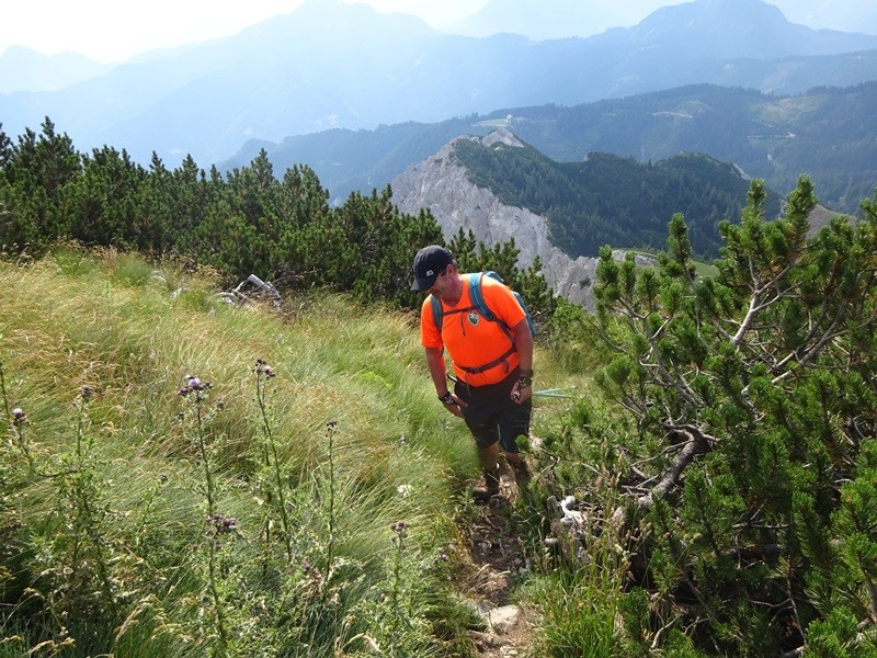 Tolsta košuta (23.7.2022 + ogl.t.) - foto povečava