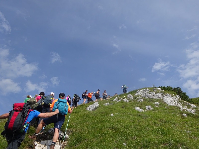 Tolsta košuta (23.7.2022 + ogl.t.) - foto povečava