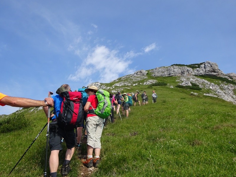 Tolsta košuta (23.7.2022 + ogl.t.) - foto povečava