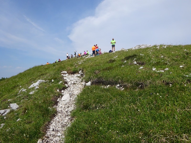Tolsta košuta (23.7.2022 + ogl.t.) - foto povečava