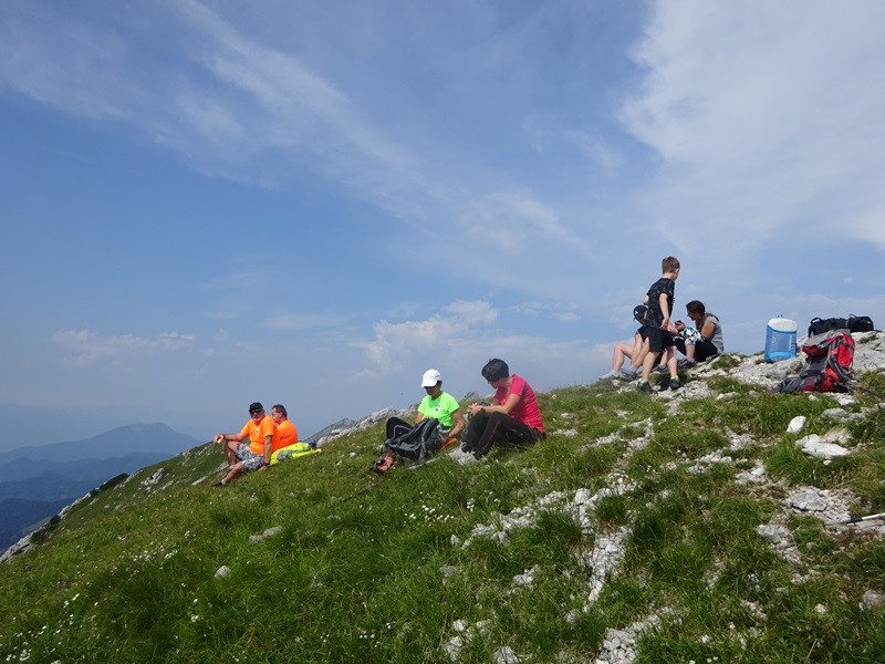 Tolsta košuta (23.7.2022 + ogl.t.) - foto povečava