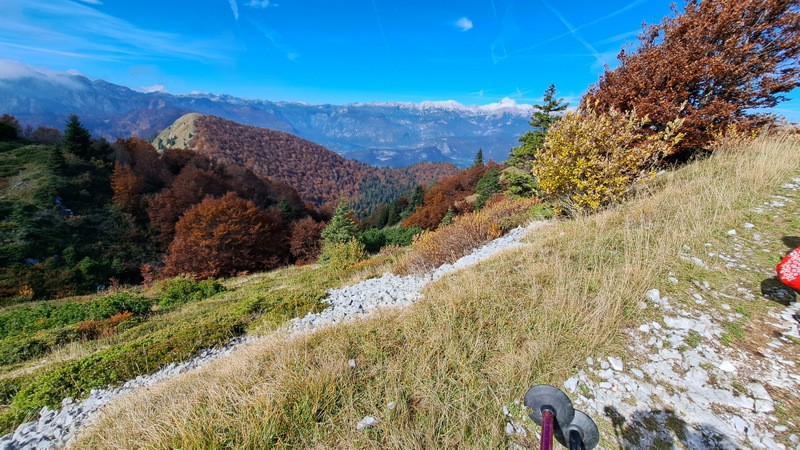 Možic (8.10.2022 + ogl.t.) - foto povečava