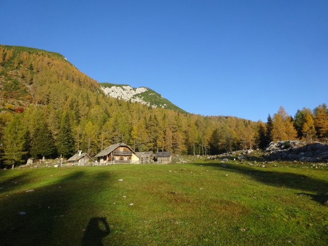 Križevnik (29.10.2022 + ogl.t.) - foto