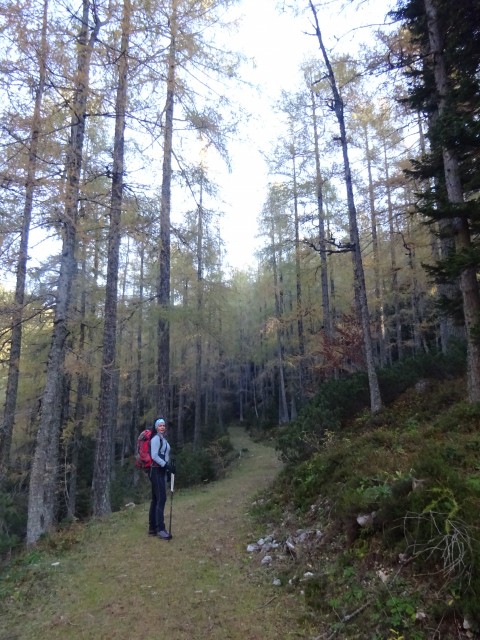 Križevnik (29.10.2022 + ogl.t.) - foto