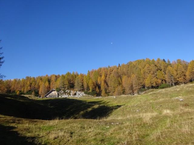 Križevnik (29.10.2022 + ogl.t.) - foto