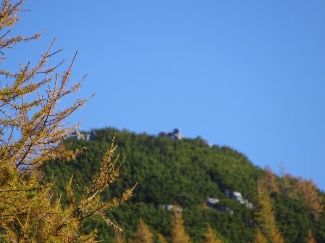 Križevnik (29.10.2022 + ogl.t.) - foto