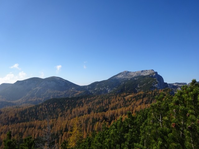 Križevnik (29.10.2022 + ogl.t.) - foto