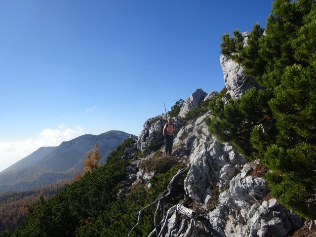 Križevnik (29.10.2022 + ogl.t.) - foto
