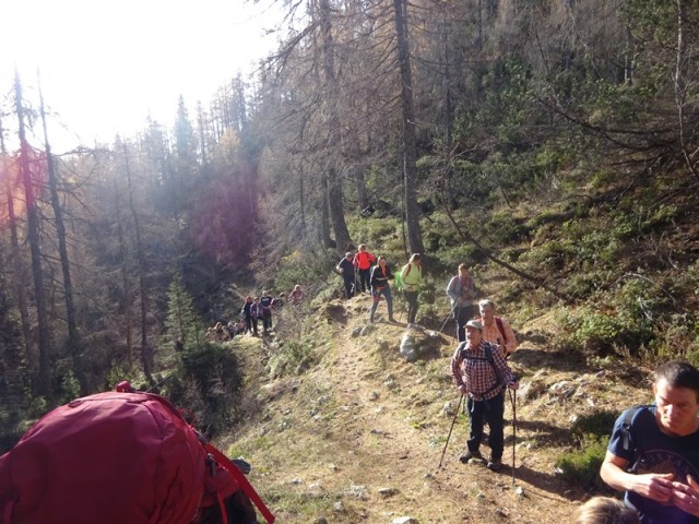 Križevnik (29.10.2022 + ogl.t.) - foto