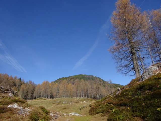 Križevnik (29.10.2022 + ogl.t.) - foto