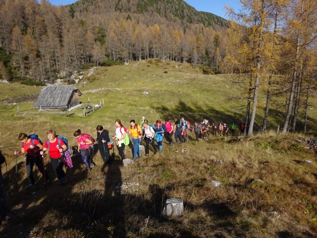Križevnik (29.10.2022 + ogl.t.) - foto