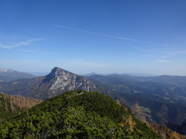 Križevnik (29.10.2022 + ogl.t.) - foto