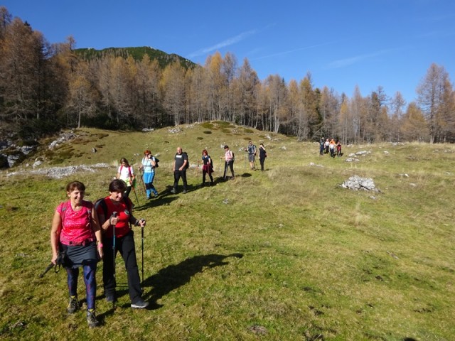 Križevnik (29.10.2022 + ogl.t.) - foto