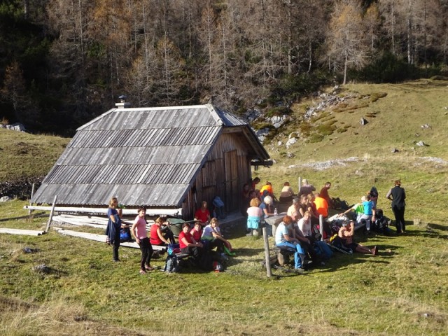 Križevnik (29.10.2022 + ogl.t.) - foto