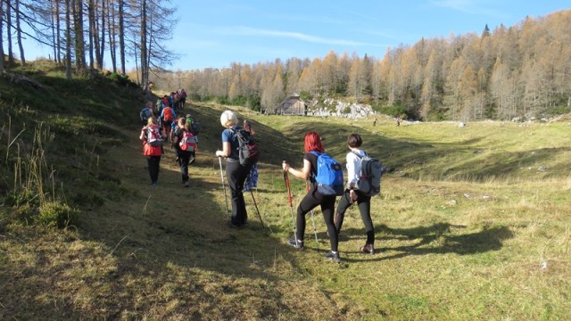 Križevnik (29.10.2022 + ogl.t.) - foto