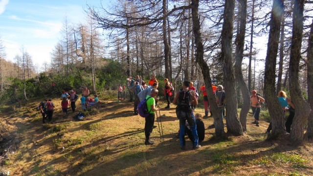 Križevnik (29.10.2022 + ogl.t.) - foto