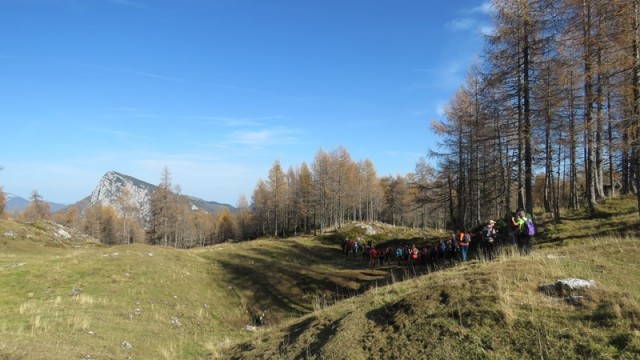 Križevnik (29.10.2022 + ogl.t.) - foto