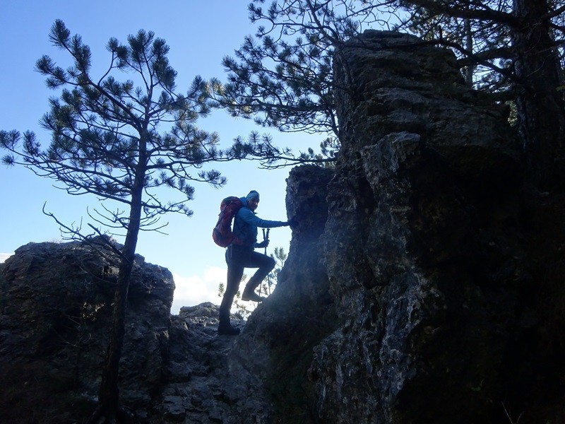 Kucelj na čavnu (26.11.2022 + ogl.t.) - foto povečava