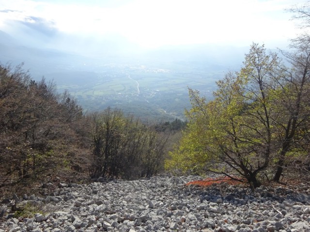 Kucelj na čavnu (26.11.2022 + ogl.t.) - foto