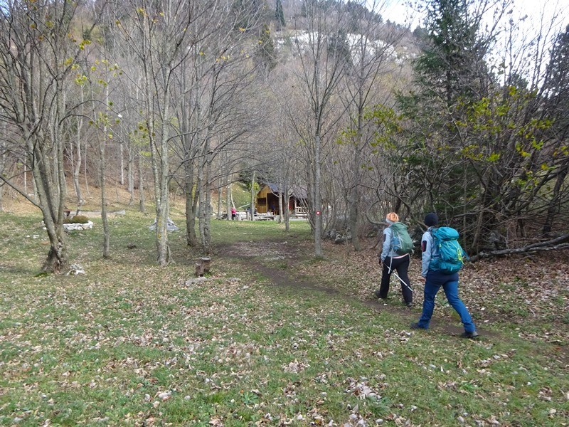 Kucelj na čavnu (26.11.2022 + ogl.t.) - foto povečava