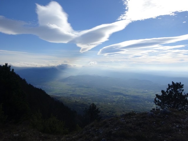 Kucelj na čavnu (26.11.2022 + ogl.t.) - foto