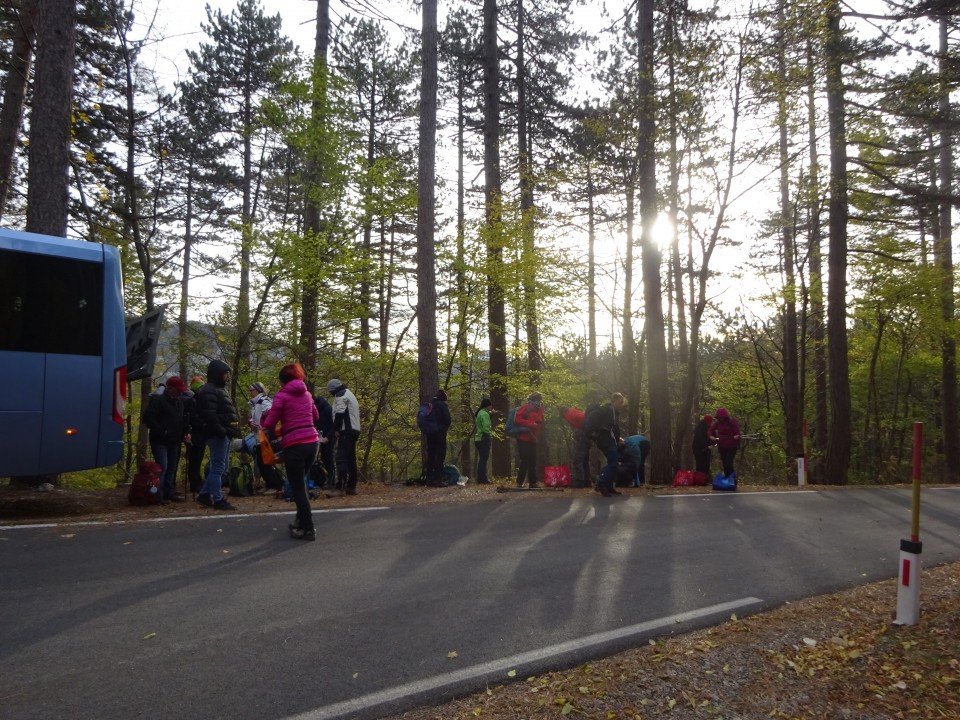 Kucelj na čavnu (26.11.2022 + ogl.t.) - foto povečava