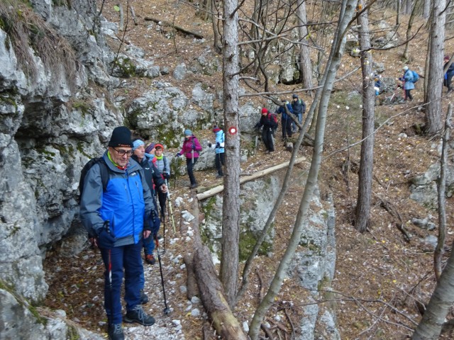 Kucelj na čavnu (26.11.2022 + ogl.t.) - foto