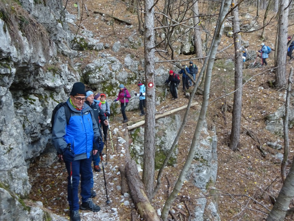 Kucelj na čavnu (26.11.2022 + ogl.t.) - foto povečava