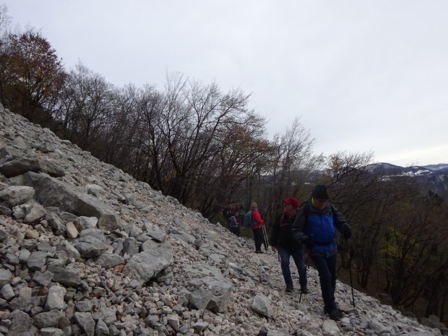 Kucelj na čavnu (26.11.2022 + ogl.t.) - foto