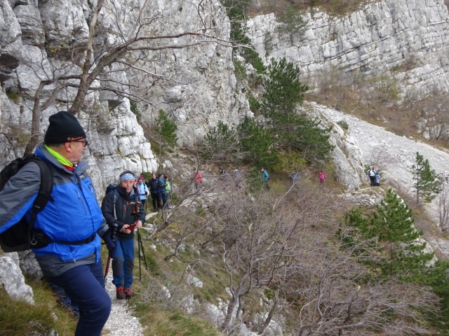Kucelj na čavnu (26.11.2022 + ogl.t.) - foto
