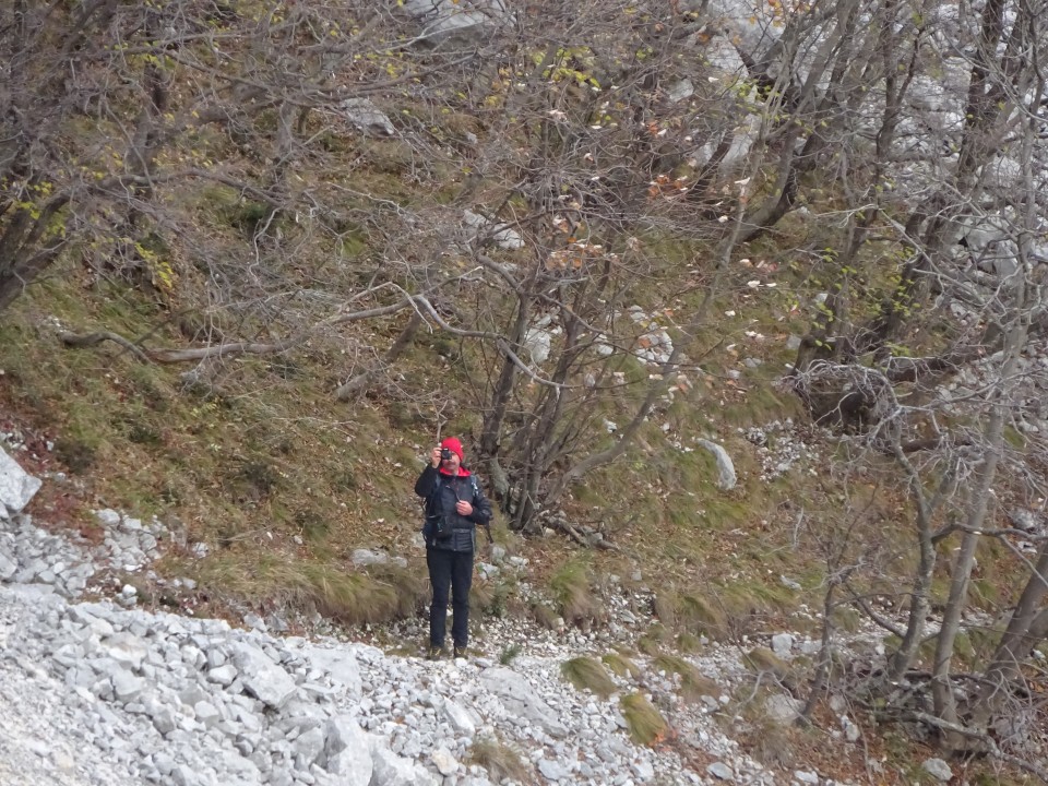 Kucelj na čavnu (26.11.2022 + ogl.t.) - foto povečava