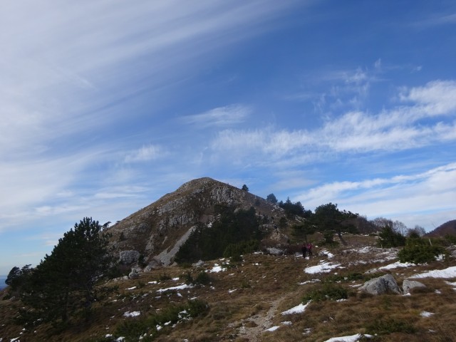 Kucelj na čavnu (26.11.2022 + ogl.t.) - foto