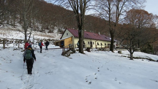 Kucelj na čavnu (26.11.2022 + ogl.t.) - foto