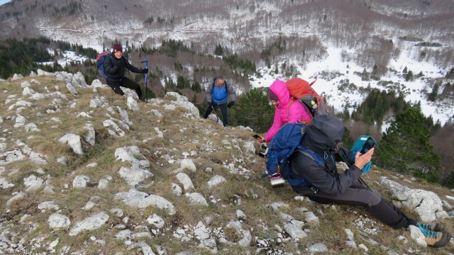 Kucelj na čavnu (26.11.2022 + ogl.t.) - foto