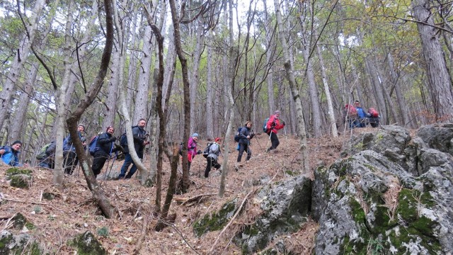 Kucelj na čavnu (26.11.2022 + ogl.t.) - foto