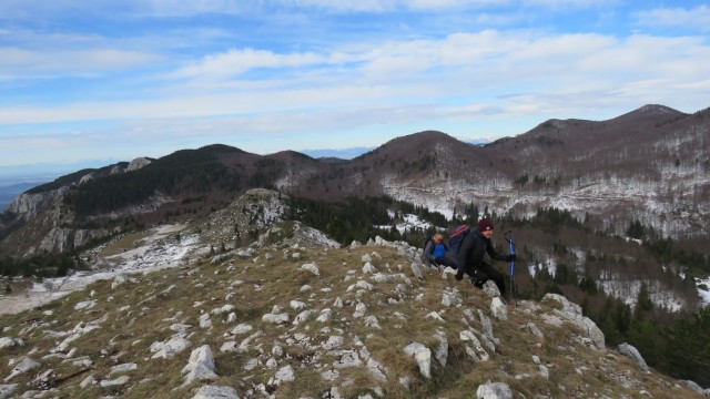 Kucelj na čavnu (26.11.2022 + ogl.t.) - foto