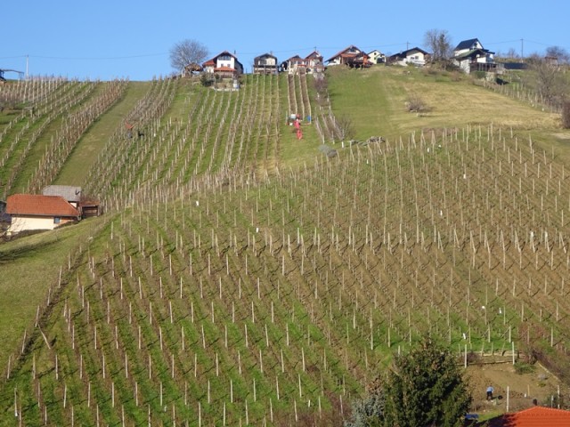 PPP velika polana-lendava(14.1.2023) - foto