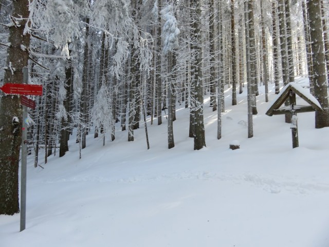 Uršlja gora od ivarčkega j. (4.3.2023+ogl.t.) - foto