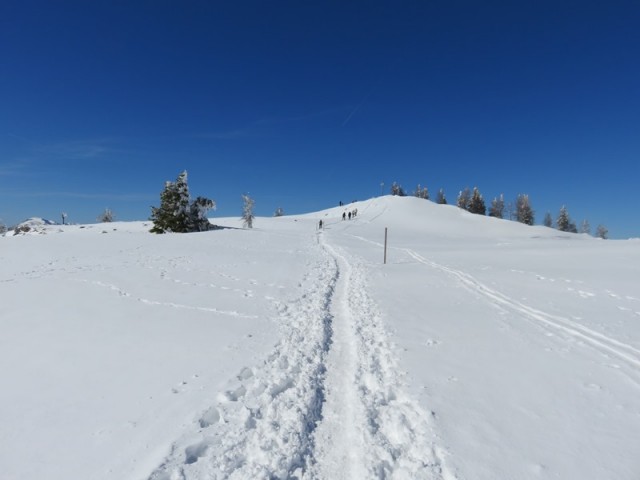 Uršlja gora od ivarčkega j. (4.3.2023+ogl.t.) - foto
