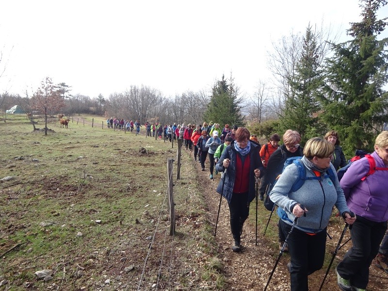 15. pohod ob dnevu žena (11.-12.3.2023) - foto povečava