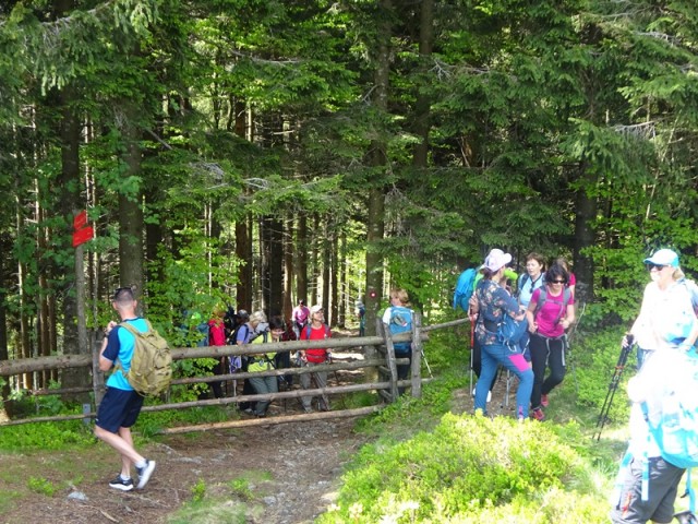 Kašna planina (27.5.2023) - foto