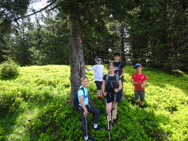 Kašna planina (27.5.2023) - foto