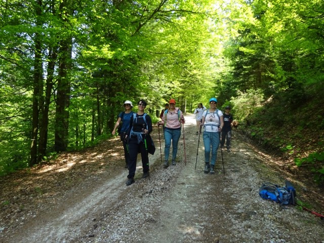 Kašna planina (27.5.2023) - foto