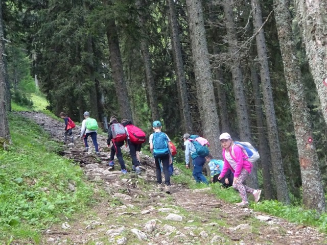 Uršlja gora za oš (10.6.2023) - foto