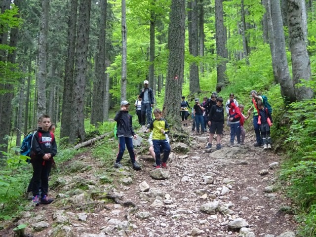 Uršlja gora za oš (10.6.2023) - foto