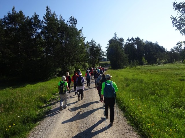 Bloška planota (17.6.2023) - foto