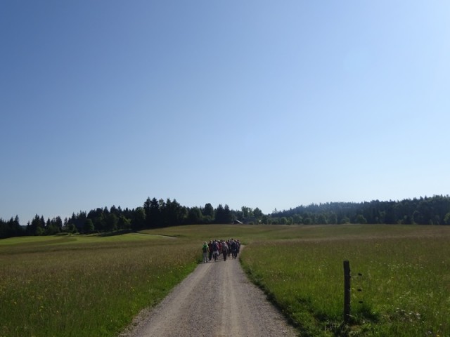 Bloška planota (17.6.2023) - foto