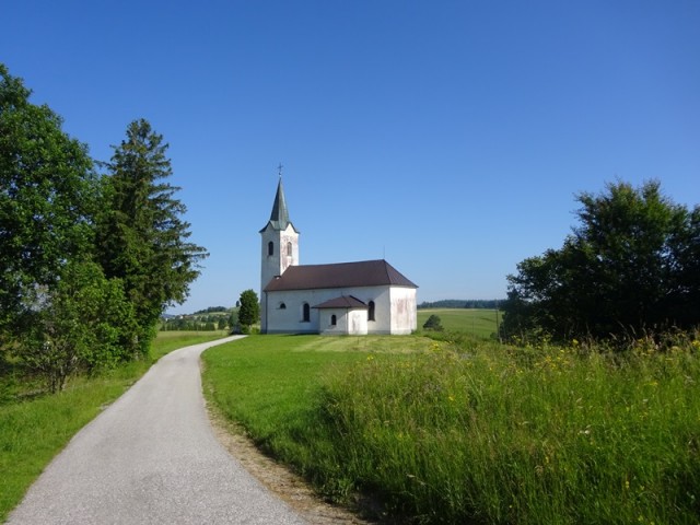 Bloška planota (17.6.2023) - foto